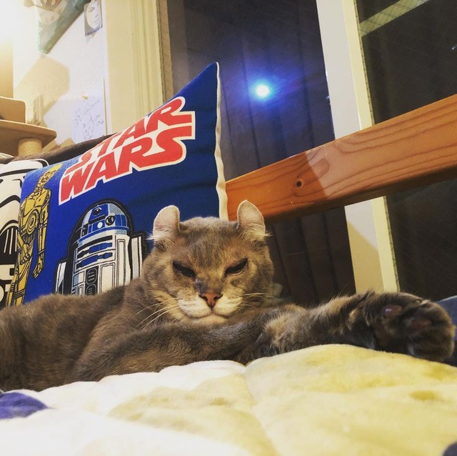 スター・ウォーズに出てきそう