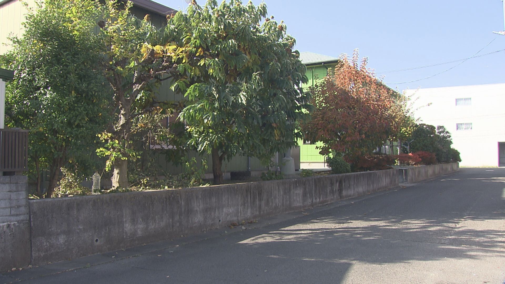 車がはしごに衝突し転倒　庭の剪定作業中の男性死亡　仙台市の路上