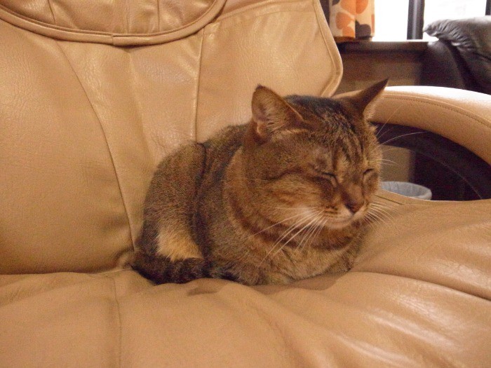 ゆっくりおやすみ