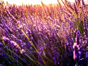 「ブス」という言葉は私の自信をなくしたけど、美しさの基準は自分でしょ？