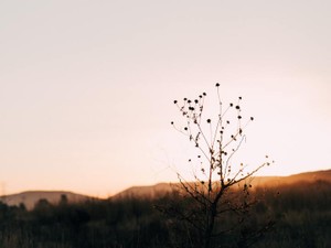 ふられた私に残ったのは、体だけの関係になる事。でも２回目の別れは私から