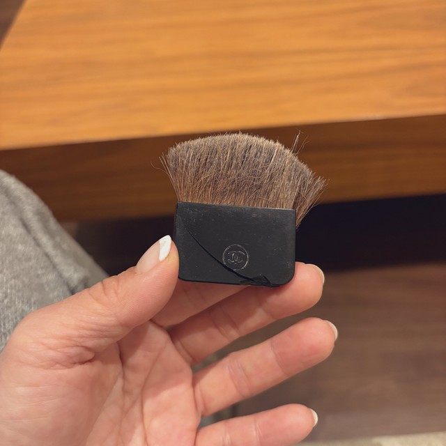 大事なブラシが…！（画像提供：ピケのお母さん）