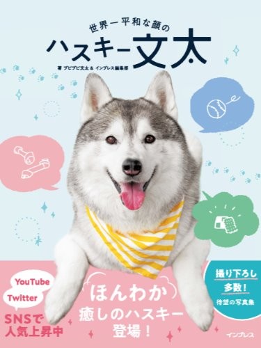 「世界一平和な顔のハスキー文太」　甘えん坊のひっつき虫！番犬には向きません……