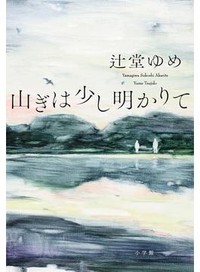 「山ぎは少し明かりて」書評　ありふれた村という唯一の故郷