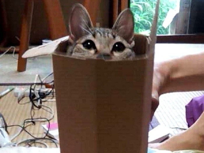 筒の中に入ってみたよ