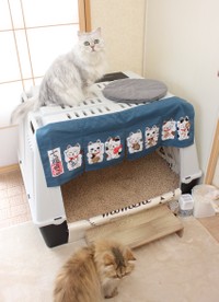 8匹も猫がいるので犬用のケージを巨大トイレに