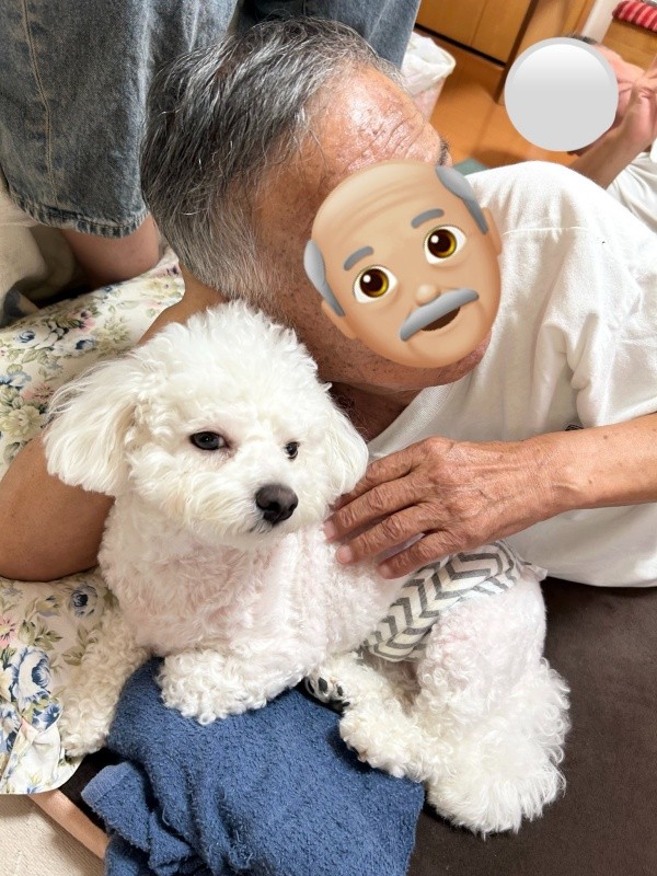 祖父に寄り添われて渋い顔になるぴぷすくん（画像提供：しろいぬ（ぴぷす）さん）