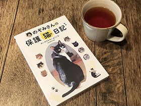 飼い猫８匹、保護した猫は100匹以上！　癒やしの人気インスタ投稿１万回が１冊に