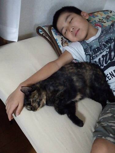 えびちゃんは怜央が眠るとやってくる（黒尾さん提供）