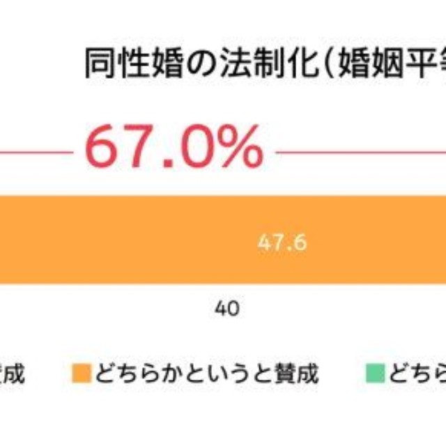 同性婚の法制化（婚姻平等の実現）について（提供画像）