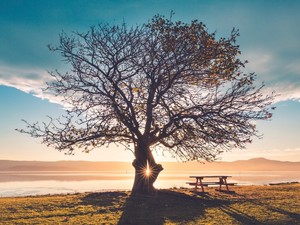 私は私の名字が今や精神となって私の中で生き続けることを知っている