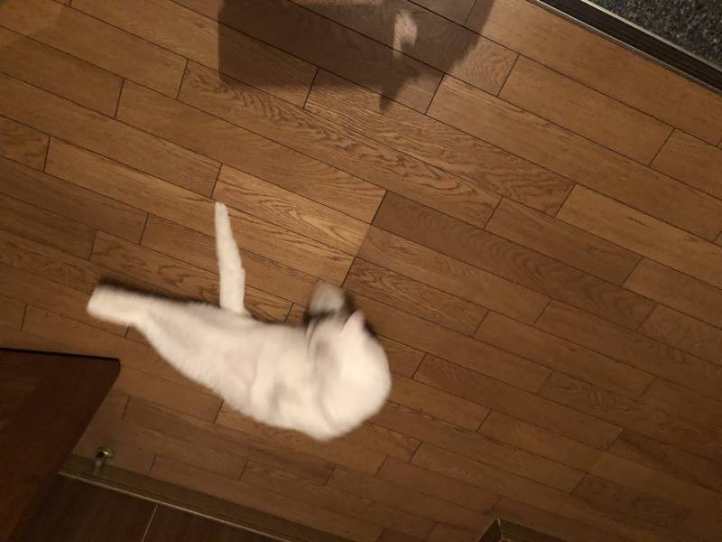 くねくねの瞬間