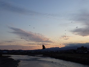 【東日本大震災10年】少しでも関わった地は忘れられない　作家・古川日出男さん寄稿