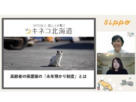 年齢を理由に猫との暮らしを諦めない　「永年預かり」を知るトーク、８日午後８時から