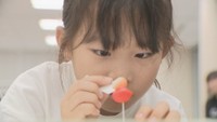 工芸菓子体験教室　岡山・北区幸町