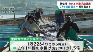 カツオの水揚げ既に前年１．５倍　２７年連続日本一に期待高まる　宮城・気仙沼市