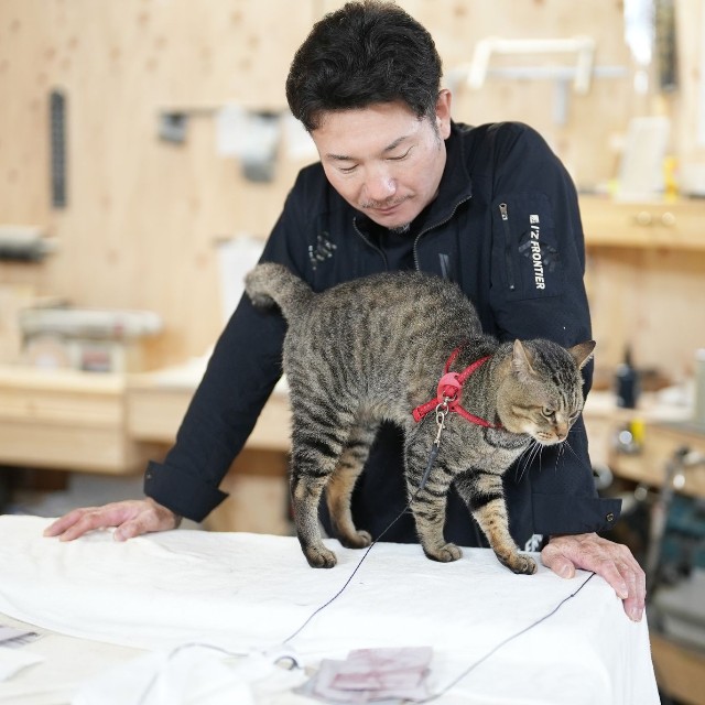 仕事中の泉野さんに甘える寅次郎