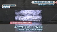 前回の森の芸術祭　2024年