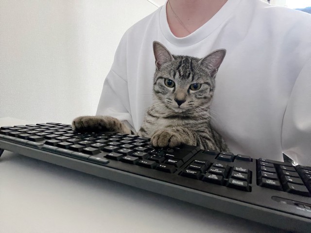 Tシャツと一体化したととまるくん＝ととまるはんみさん（@totomaru_hanmi）提供