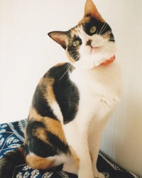 若かりし頃、ツヤツヤムチムチボディ