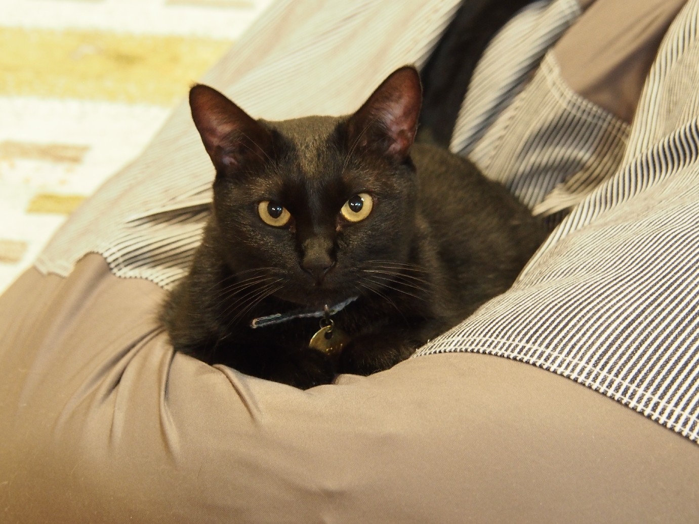 抱っこにはあまりなれていない