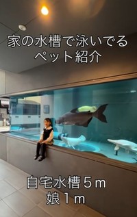 自宅がまるで水族館！？／ikkiさん（@ikki1219）提供