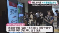 東北新幹線　夜間作業の遅れで始発から一時運転見合わせ　おおむね遅れは解消