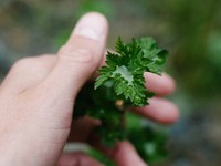 「結構です」が壊してしまった、バス停のお姉さんの優しさ