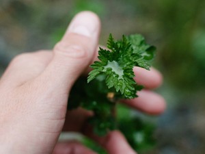 「結構です」が壊してしまった、バス停のお姉さんの優しさ