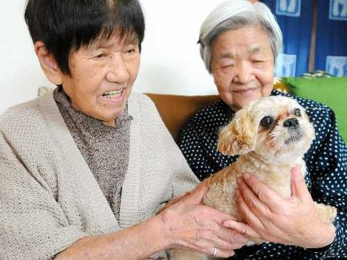 保健所出身のセラピー犬「ぽん」、高齢者介護施設へ