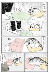 【漫画】「ボロボロダンボール」（提供：キュルZさん）