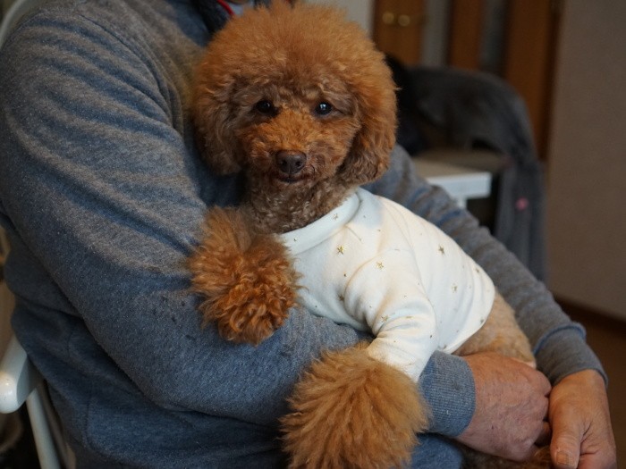 「昔はおどおどしていたけど、今は態度も立派に……」