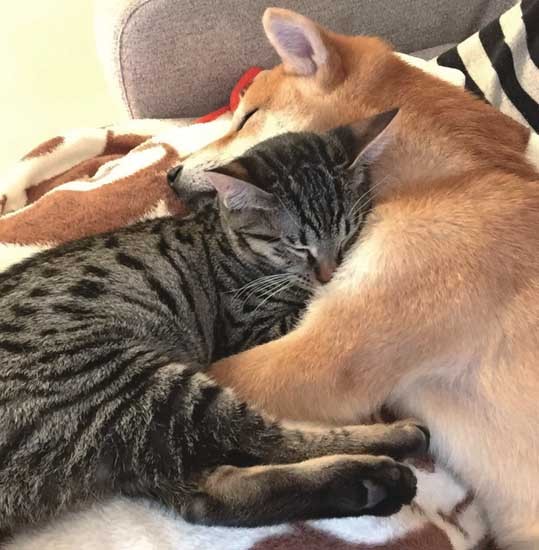 あっためてあげる　（ぴあ提供）