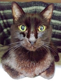 おててナイナイ♡ ポーズがかわいい実陽くん（画像提供：秋十空さん）