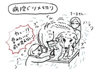 震えるサンくんの大量の抜け毛で前が見えなくなった獣医さん（漫画「デカい狼犬との日常」より／提供：riyaさん）