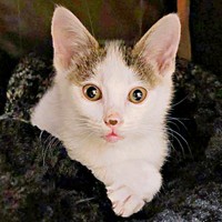 余命宣告から奇跡の回復を遂げたおかかくん（画像提供：おかかとそぼろの成長記録さん）