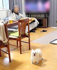 前回の帰省で仲良くなったのに、すっかり忘れてしまったかわいーぬちゃん（画像提供：かわいーぬさん）