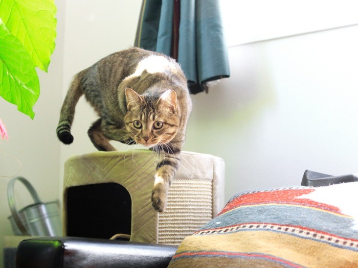 遠目で見ていたウヌも。