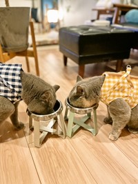 ハーネス装着練習の後、頑張ったときはおやつのご褒美も（カイヌシさん提供）