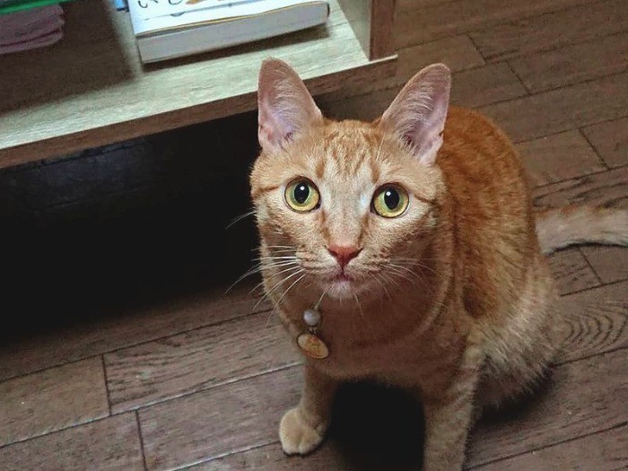 元気に成長した小判