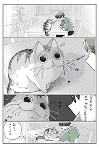 漫画「猫のヒゲを数えたい」（提供：キュルZさん）