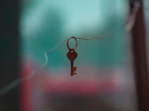 水やりのために受け取った合い鍵はまだ、私の手の中にあるまま