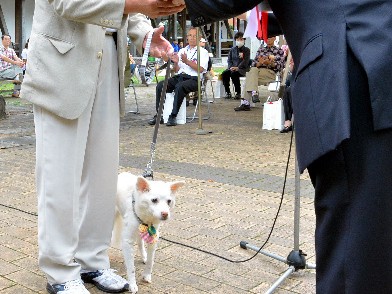長寿の犬猫を表彰　秘訣は「家族の一員として暮らすこと」