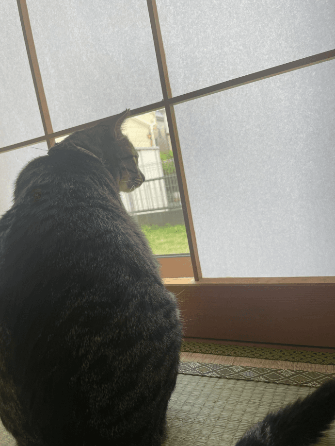 パトロールもはかどります　画像提供：サブよものおうち