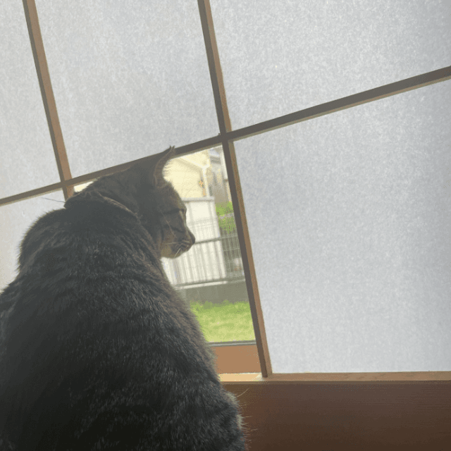 パトロールもはかどります　画像提供：サブよものおうち