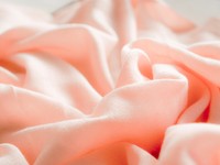 あなたは可愛らしい見た目をしているけれど、私にとって精進の色だよ