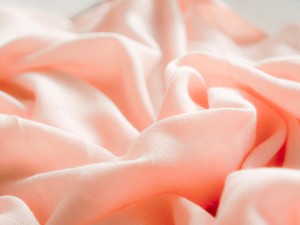 あなたは可愛らしい見た目をしているけれど、私にとって精進の色だよ