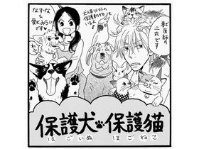 保護犬・保護猫って何？　おしえて！しっぽ情報局 vol.26
