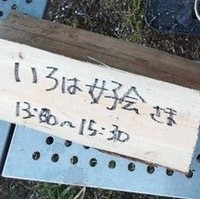 いろは女子会