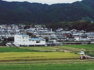 夏が好き。あの夏の、今はもう誰もいない祖父母の家の記憶があるから
